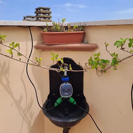 Apartman Sa Domu Bibussi