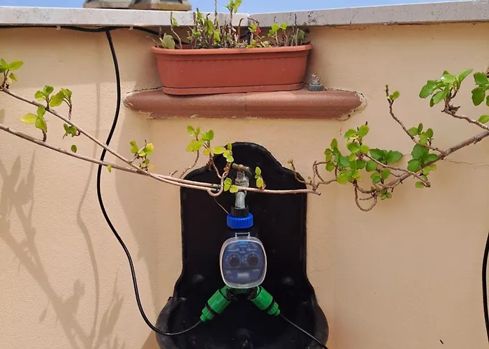 Apartment Sa Domu Bibussi